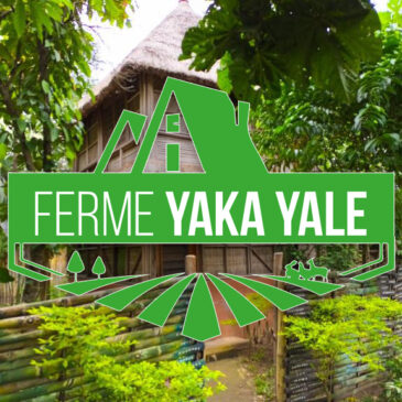 Partez au Togo en écotourisme ou en mission humanitaire à la ferme « YAKA YALE » à KPALIME